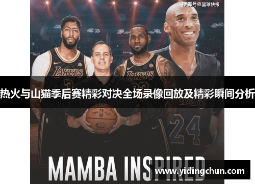 热火与山猫季后赛精彩对决全场录像回放及精彩瞬间分析